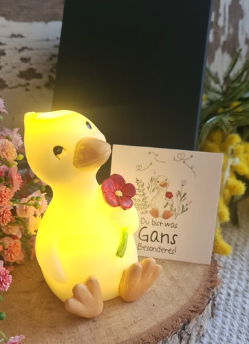 Ente kücken gans - gans, led