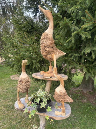 Holzenten mit wurzeln - holzenten,