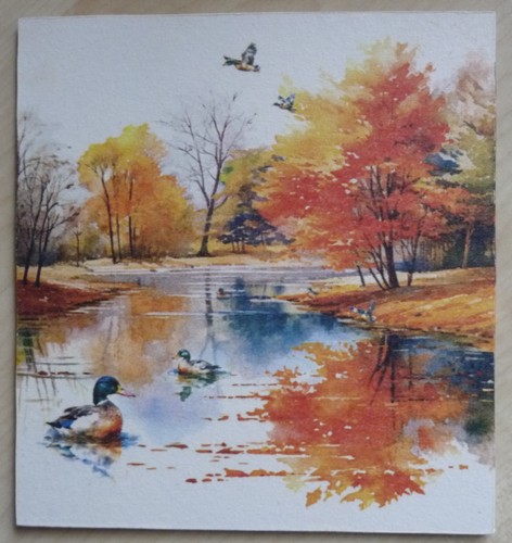Deko hdf herbst natur - herbst,