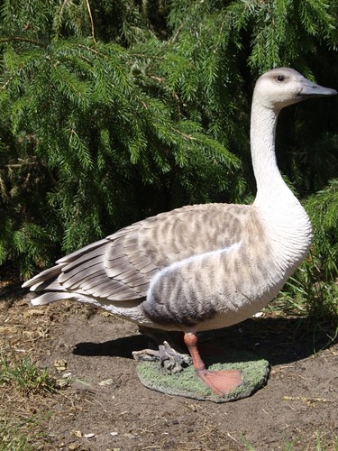 Gans deko figur 44cm wildgans - 44cm,