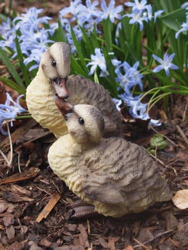Garten ente gans - 2,